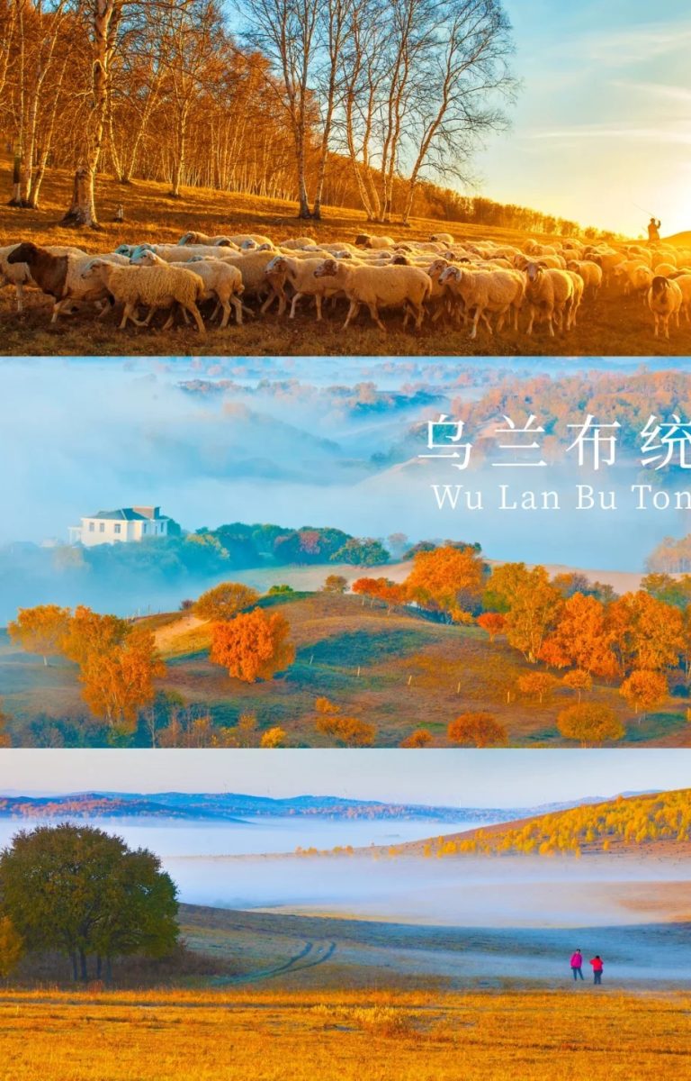 如果秋天只能去一个地方🍂那一定是乌兰布统_1_领队铭铭_乌兰布统-草原-来自52tours 我爱旅游网